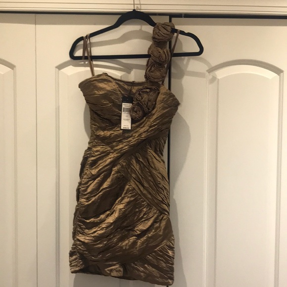 BCBG maxazria dress - Picture 2 of 4